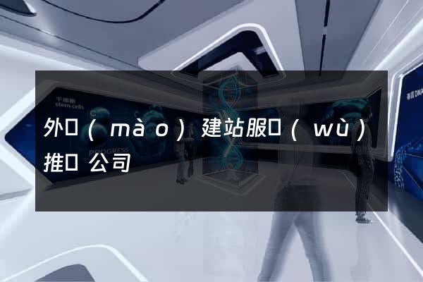 外貿(mào)建站服務(wù)推廣公司
