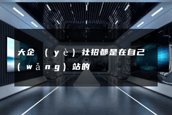 大企業(yè)社招都是在自己網(wǎng)站的嗎
