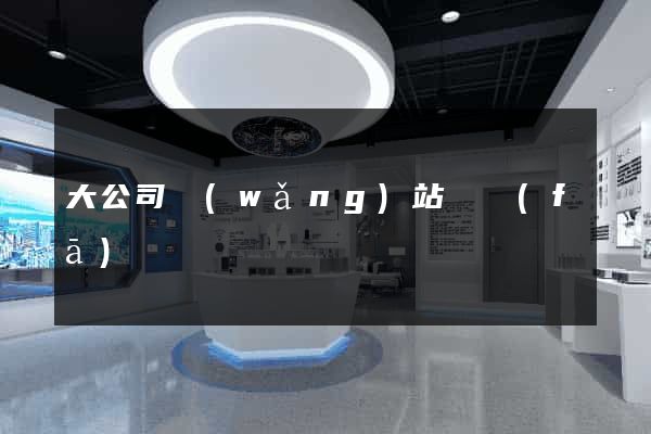 大公司網(wǎng)站開發(fā)