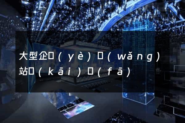大型企業(yè)網(wǎng)站開(kāi)發(fā)