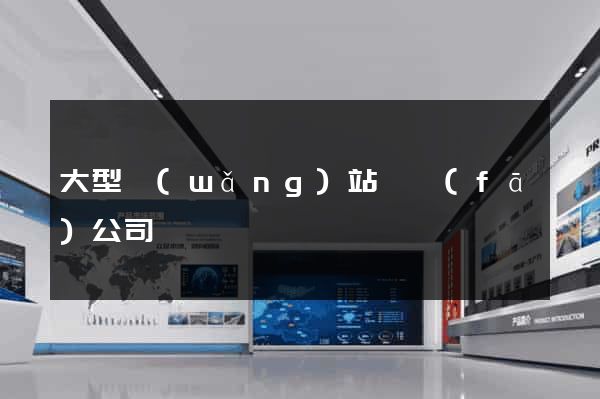大型網(wǎng)站開發(fā)公司