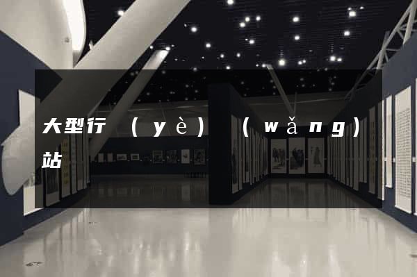 大型行業(yè)網(wǎng)站