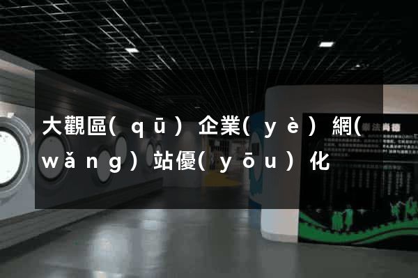 大觀區(qū)企業(yè)網(wǎng)站優(yōu)化