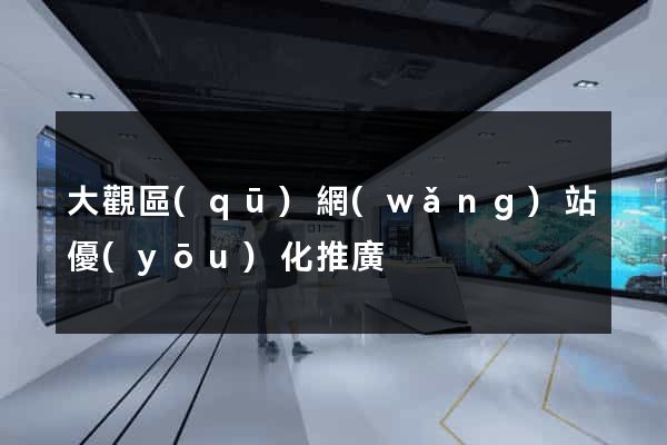 大觀區(qū)網(wǎng)站優(yōu)化推廣
