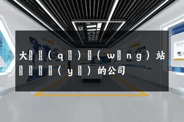 大觀區(qū)網(wǎng)站設計專業(yè)的公司