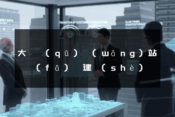 大觀區(qū)網(wǎng)站開發(fā)與建設(shè)