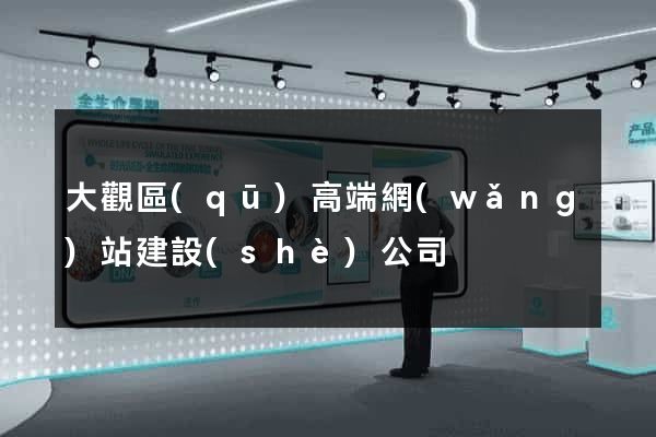 大觀區(qū)高端網(wǎng)站建設(shè)公司