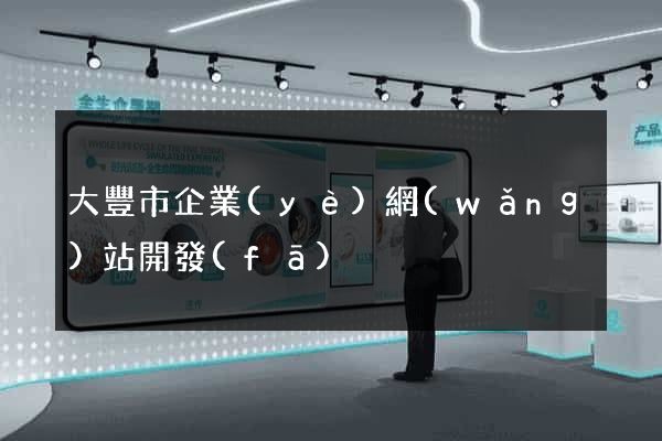 大豐市企業(yè)網(wǎng)站開發(fā)