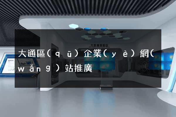 大通區(qū)企業(yè)網(wǎng)站推廣