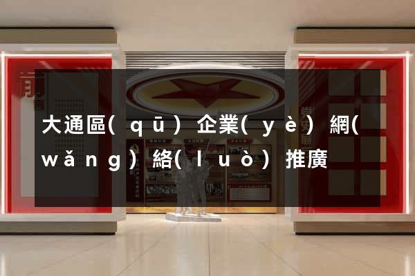 大通區(qū)企業(yè)網(wǎng)絡(luò)推廣