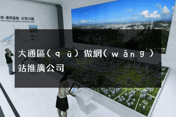 大通區(qū)做網(wǎng)站推廣公司