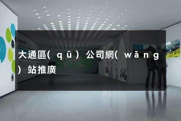 大通區(qū)公司網(wǎng)站推廣