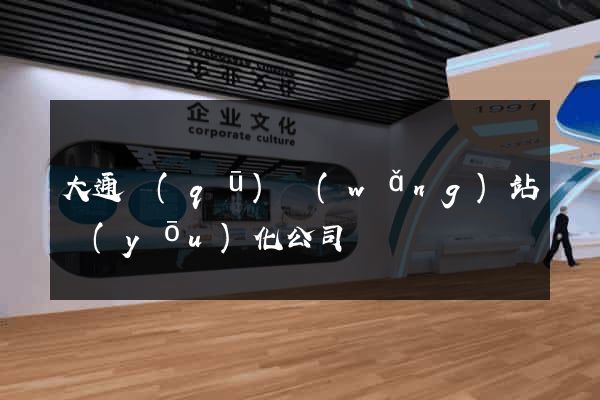 大通區(qū)網(wǎng)站優(yōu)化公司