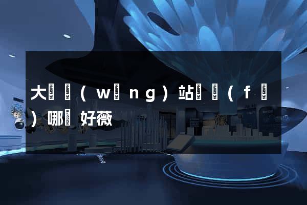 大連網(wǎng)站開發(fā)哪兒好薇