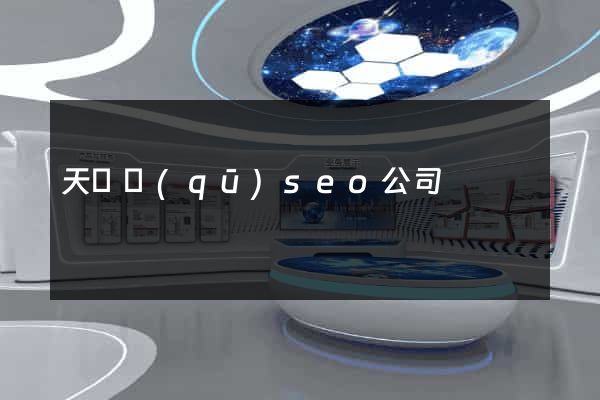 天寧區(qū)seo公司