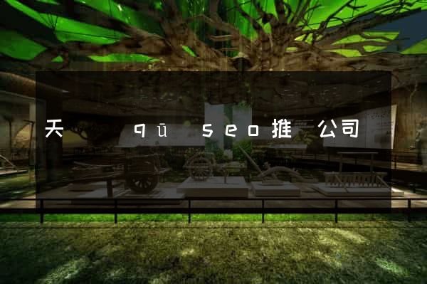 天寧區(qū)seo推廣公司
