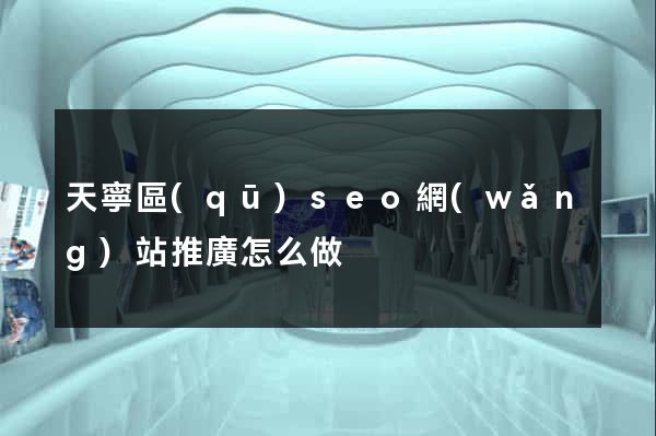天寧區(qū)seo網(wǎng)站推廣怎么做