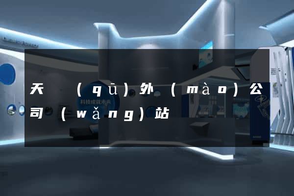 天寧區(qū)外貿(mào)公司網(wǎng)站