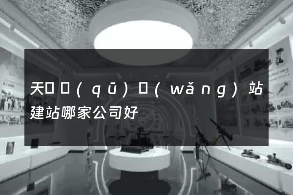 天寧區(qū)網(wǎng)站建站哪家公司好