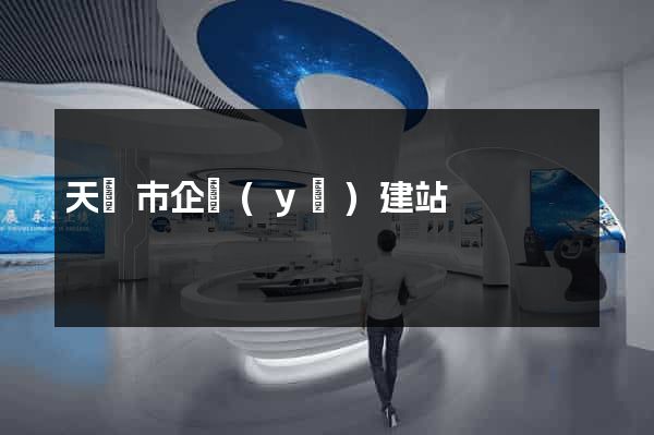 天長市企業(yè)建站