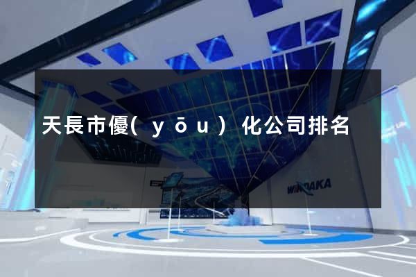 天長市優(yōu)化公司排名