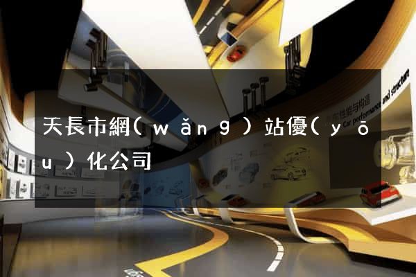 天長市網(wǎng)站優(yōu)化公司