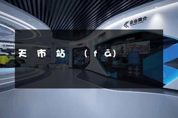 天長市網站開發(fā)