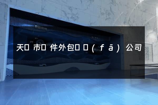 天長市軟件外包開發(fā)公司