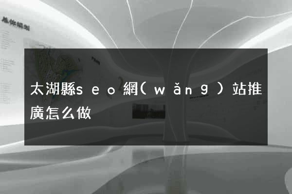 太湖縣seo網(wǎng)站推廣怎么做