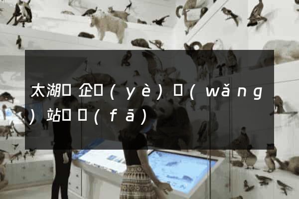 太湖縣企業(yè)網(wǎng)站開發(fā)