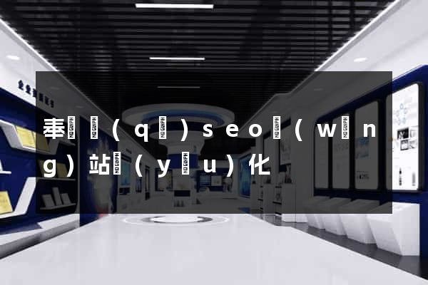 奉賢區(qū)seo網(wǎng)站優(yōu)化