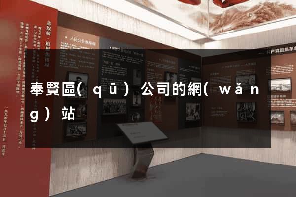 奉賢區(qū)公司的網(wǎng)站
