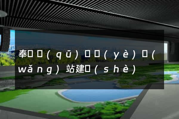 奉賢區(qū)專業(yè)網(wǎng)站建設(shè)
