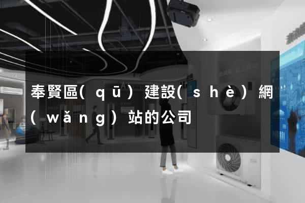 奉賢區(qū)建設(shè)網(wǎng)站的公司