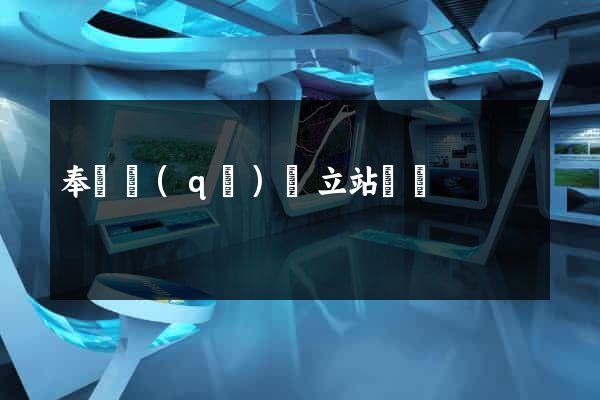 奉賢區(qū)獨立站運營