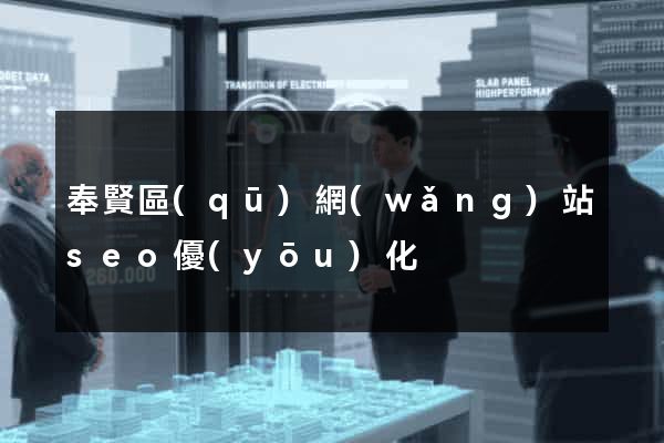 奉賢區(qū)網(wǎng)站seo優(yōu)化