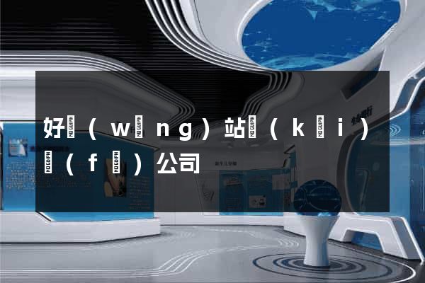好網(wǎng)站開(kāi)發(fā)公司