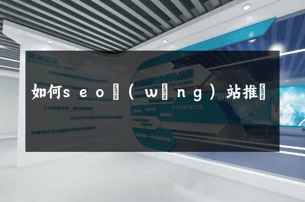 如何seo網(wǎng)站推廣