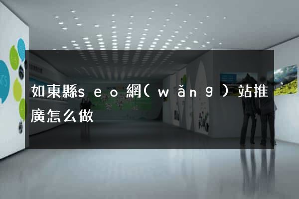 如東縣seo網(wǎng)站推廣怎么做