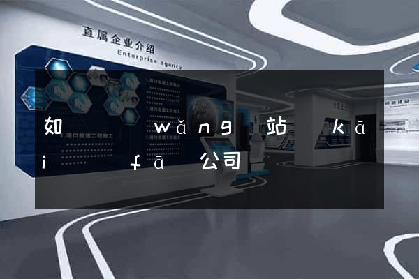 如東縣網(wǎng)站開(kāi)發(fā)公司