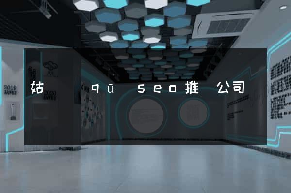 姑蘇區(qū)seo推廣公司