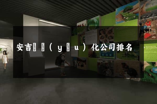 安吉縣優(yōu)化公司排名