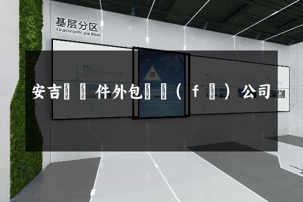 安吉縣軟件外包開發(fā)公司