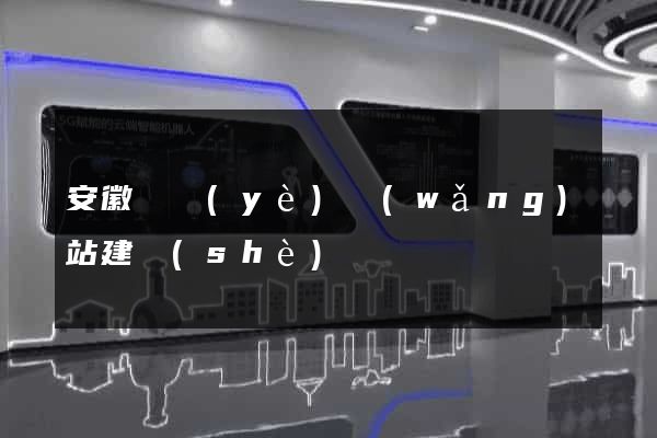 安徽專業(yè)網(wǎng)站建設(shè)