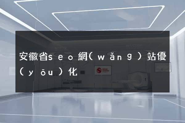 安徽省seo網(wǎng)站優(yōu)化