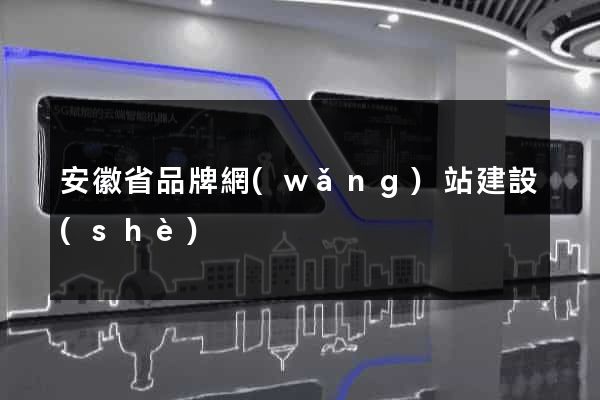 安徽省品牌網(wǎng)站建設(shè)