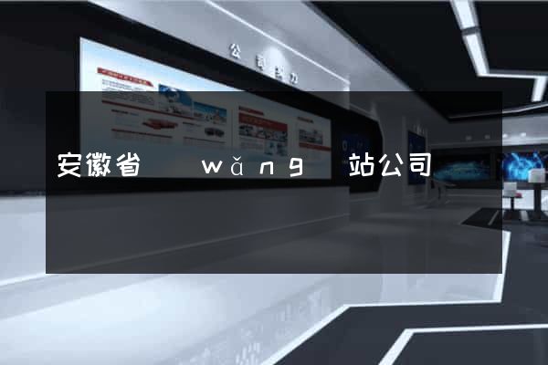 安徽省網(wǎng)站公司
