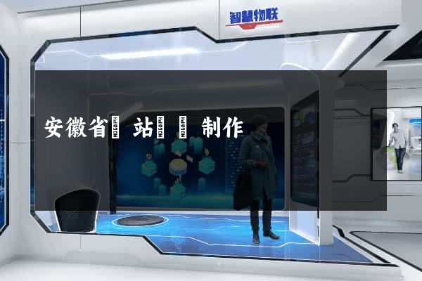 安徽省網站設計制作