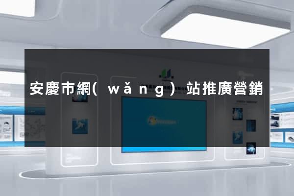 安慶市網(wǎng)站推廣營銷