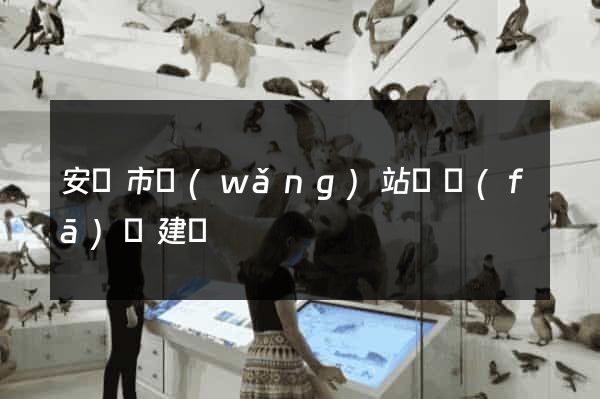 安慶市網(wǎng)站開發(fā)與建設